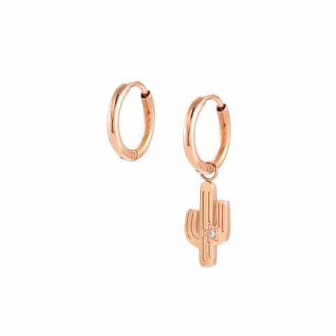 Happyworld earrings, Cactus Jewellery with Rose PVD