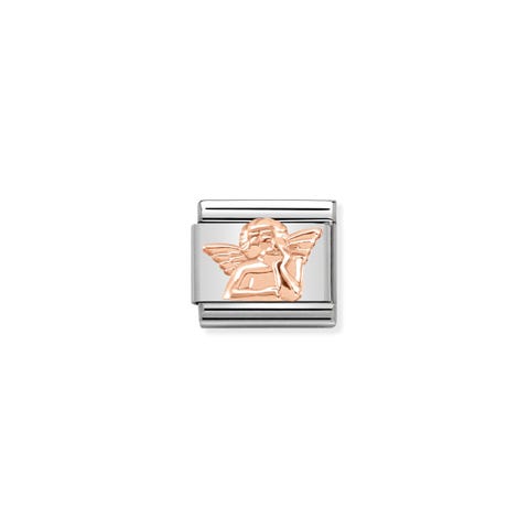 Classic Composable Angel Dreamer Link in Rose gold Link in Steel and bonded rose gold