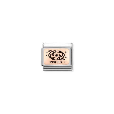 Composable Classic Link in Rosagold Fische Link mit Sternzeichen in Edelstahl und Rosagold