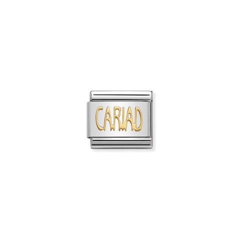 Link Composable Classic en Or CARIAD Link en Acier et Or Messages du Pays de Galles